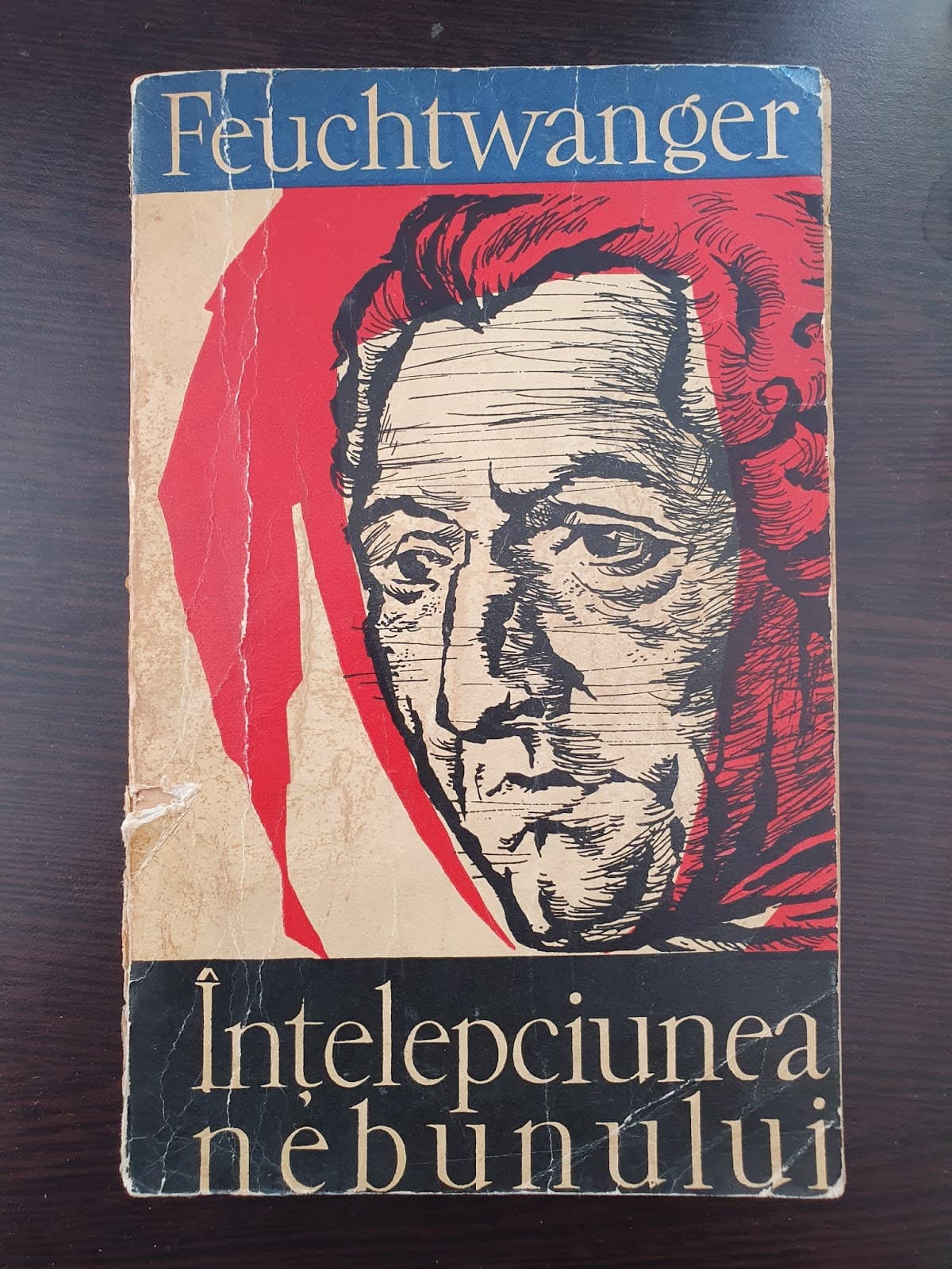 INTELEPCIUNEA NEBUNULUI
