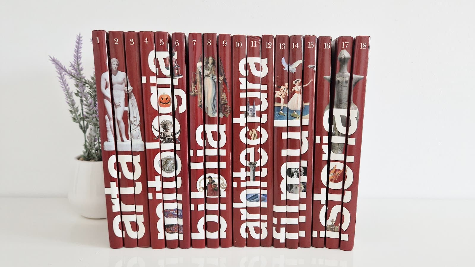 RAFTUL DE CULTURA GENERALA 18 volume, COMPLET