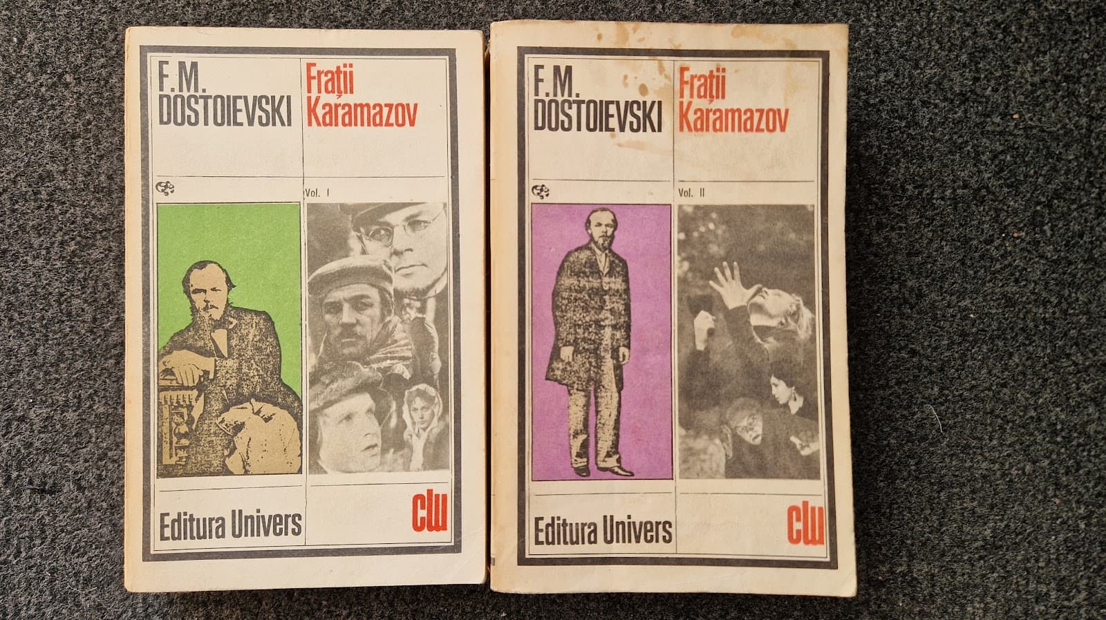 FRATII KARAMAZOV (2 volume)