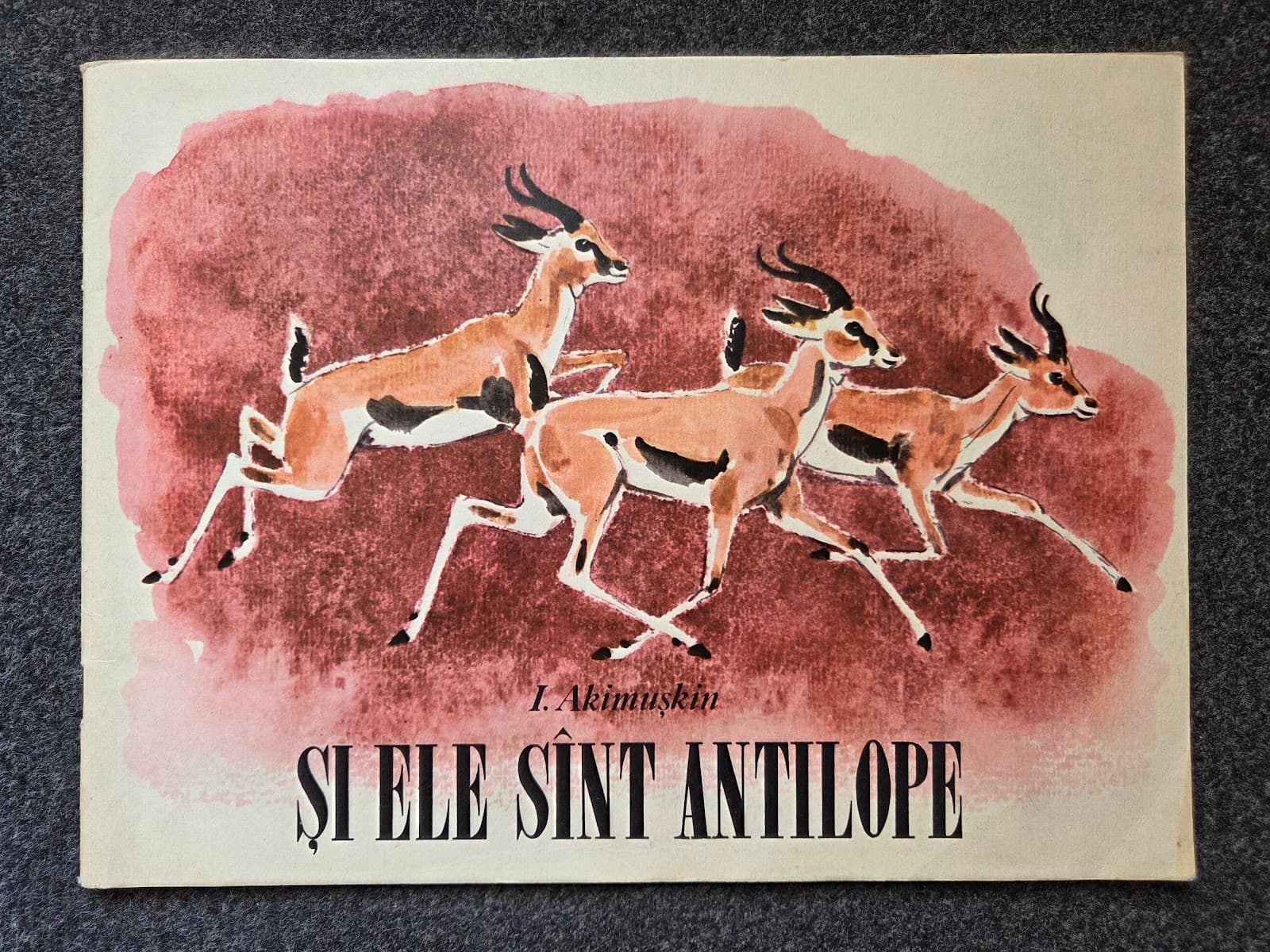 SI ELE SUNT ANTILOPE