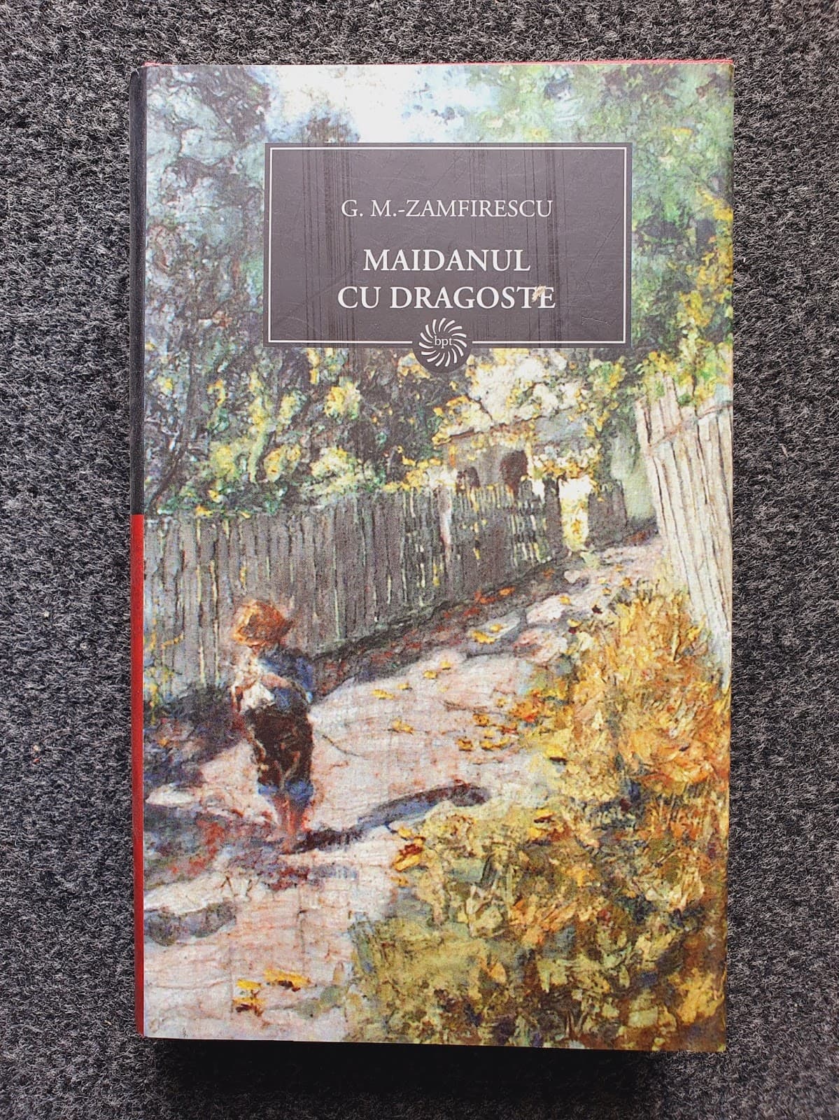 MAIDANUL CU DRAGOSTE (Jurnalul National)
