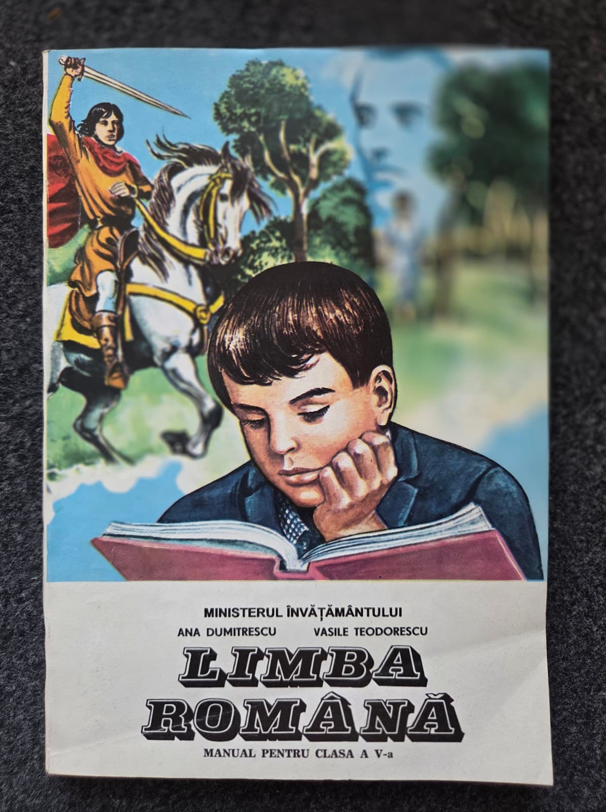 LIMBA ROMANA MANUAL PENTRU CLASA A V-A