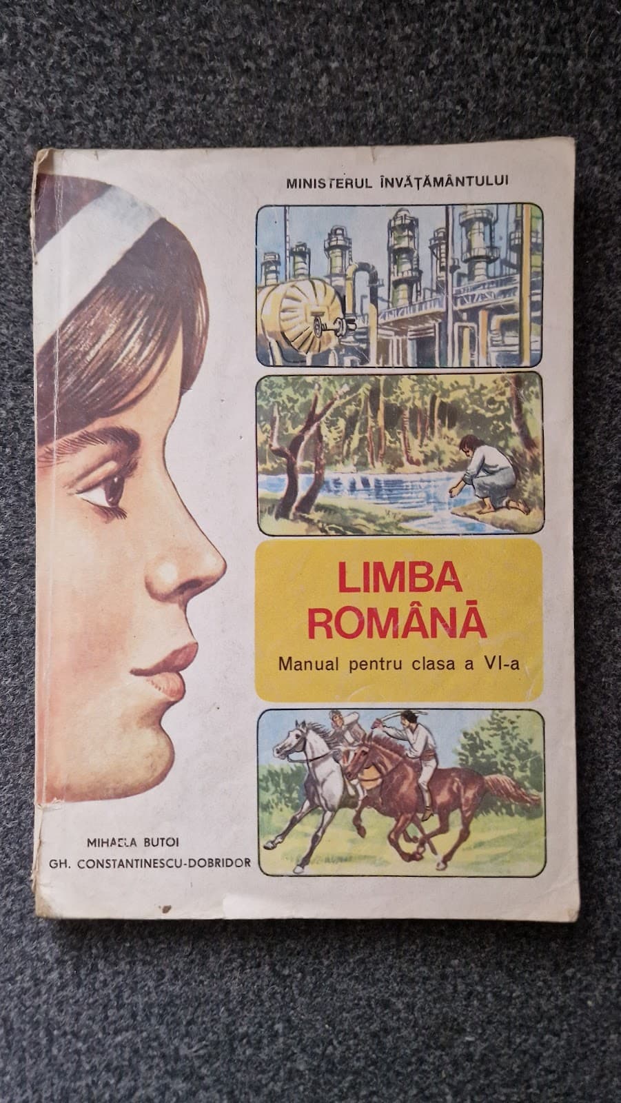 LIMBA ROMANA MANUAL PENTRU CLASA A VI-A