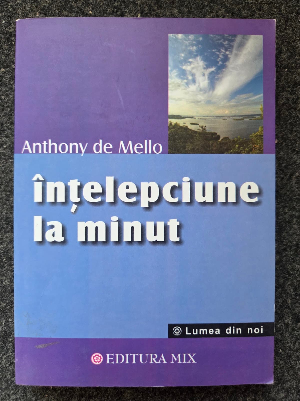 INTELEPCIUNE LA MINUT