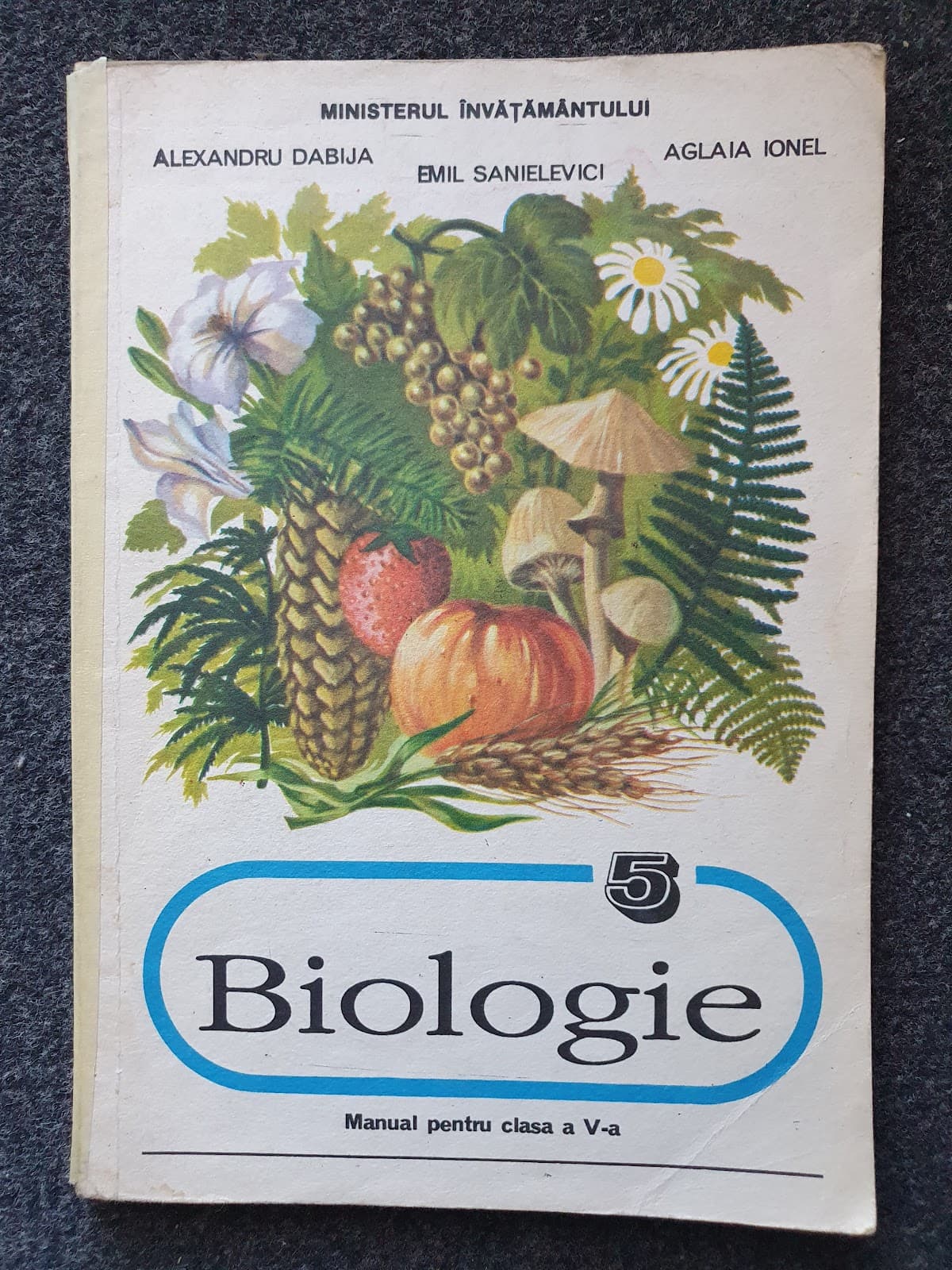 BIOLOGIE MANUAL PENTRU CLASA A V-A