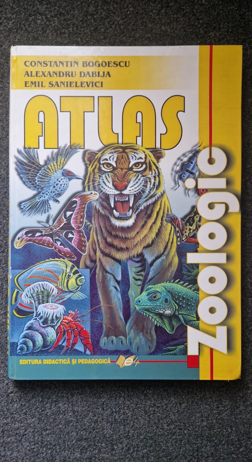 ATLAS ZOOLOGIC