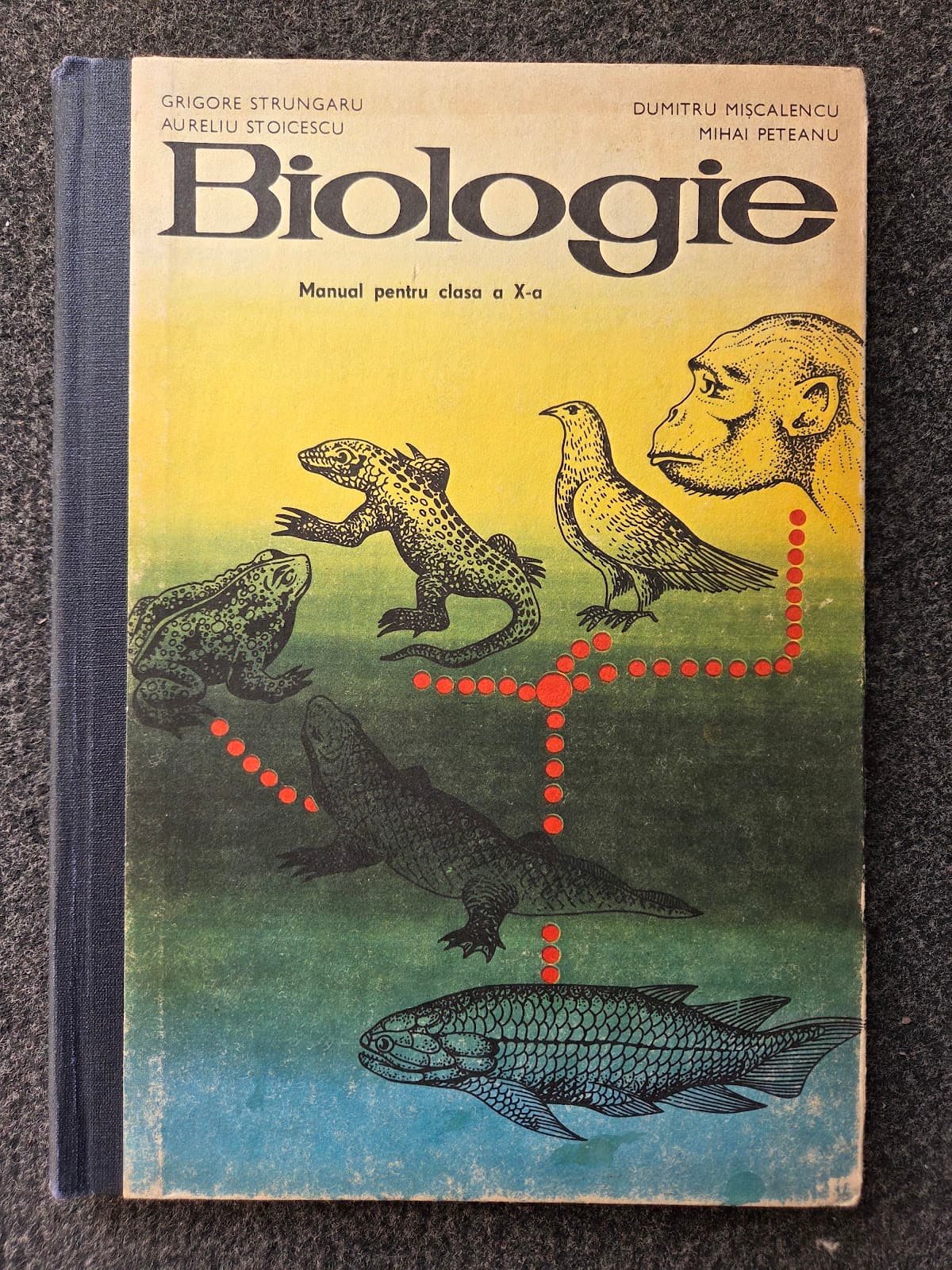 BIOLOGIE MANUAL PENTRU CLASA A X-A
