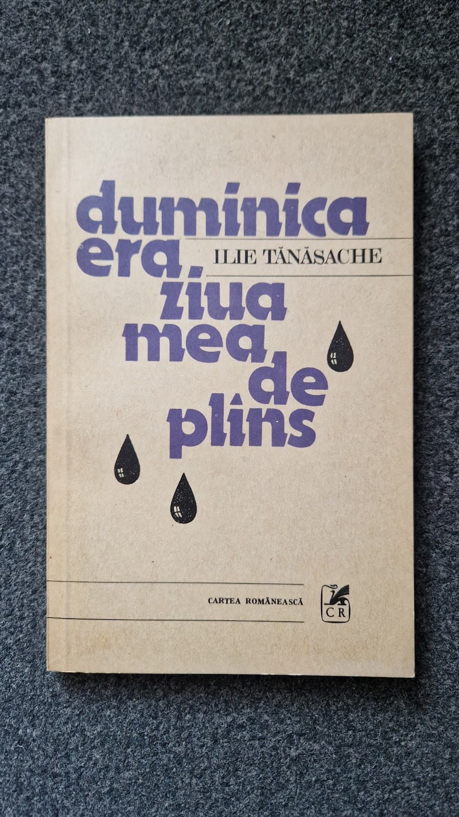 DUMINICA ERA ZIUA MEA DE PLANS