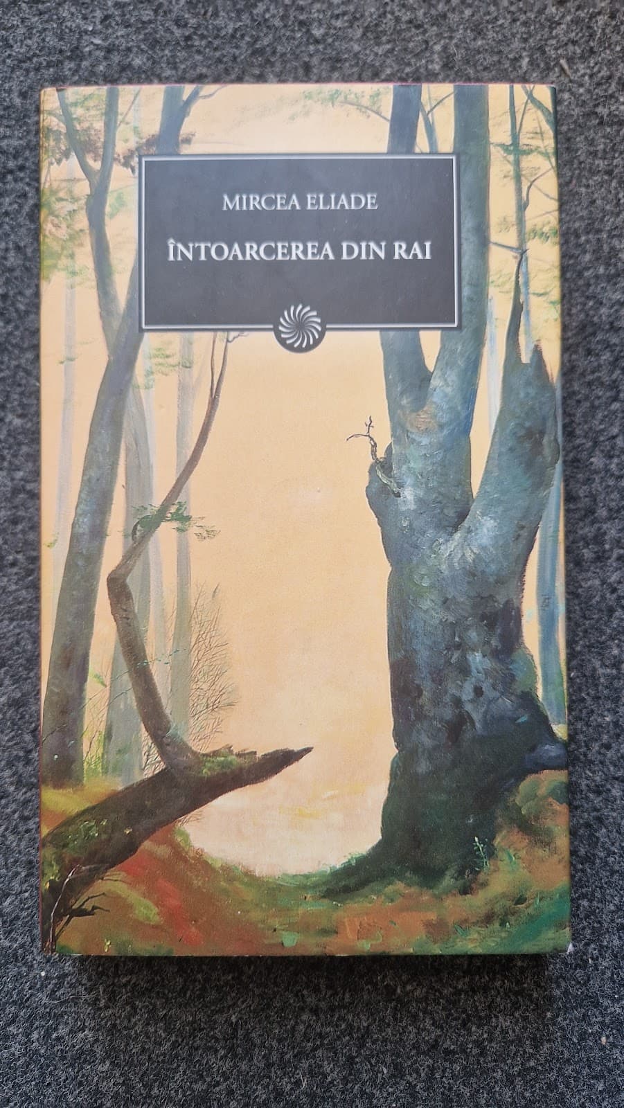 INTOARCEREA DIN RAI (Jurnalul National)