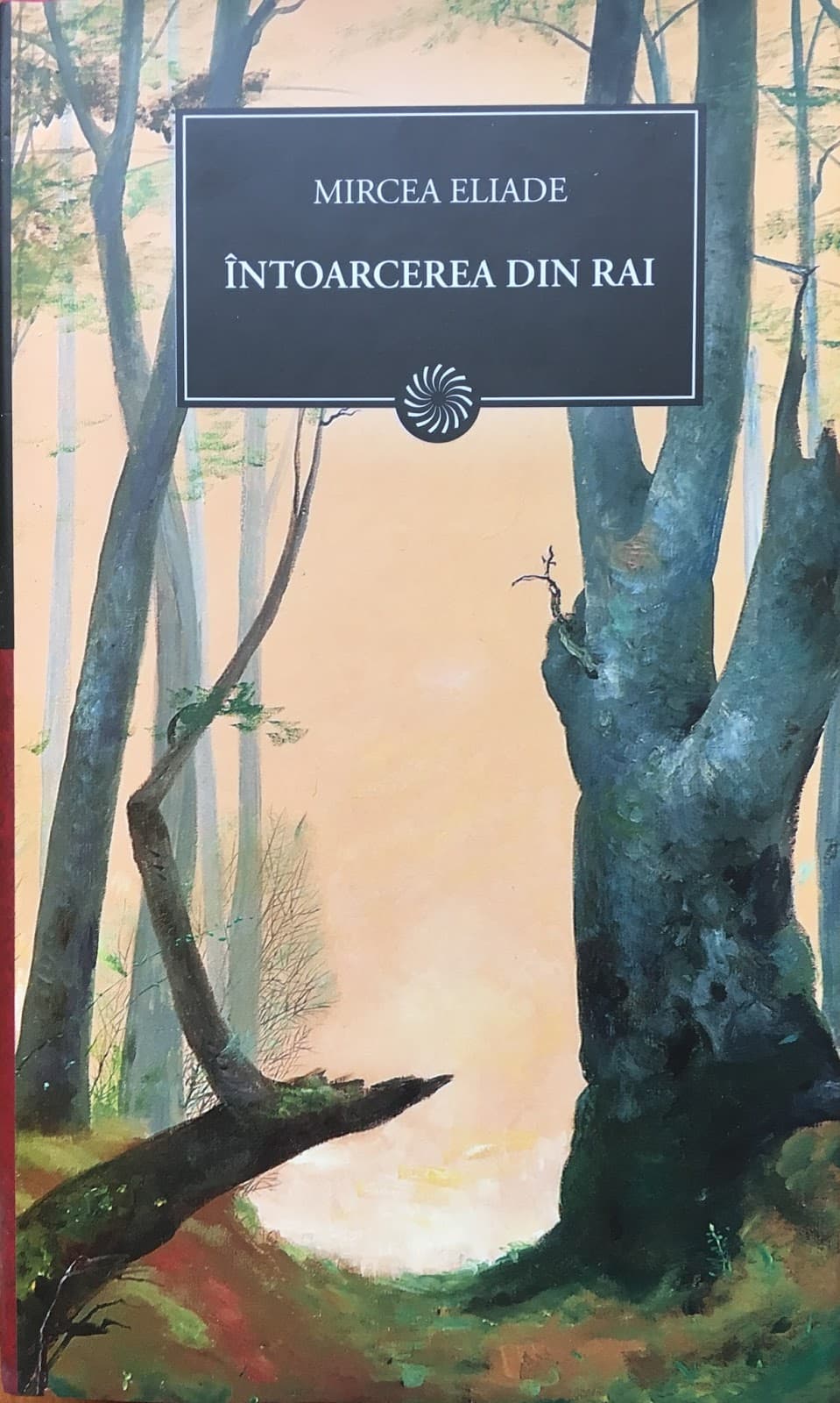 INTOARCEREA DIN RAI