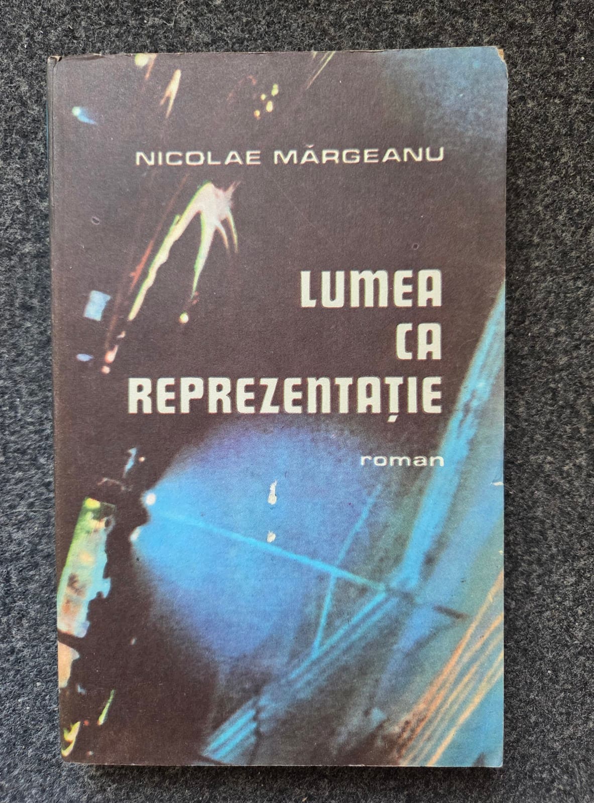 LUMEA CA REPREZENTATIE