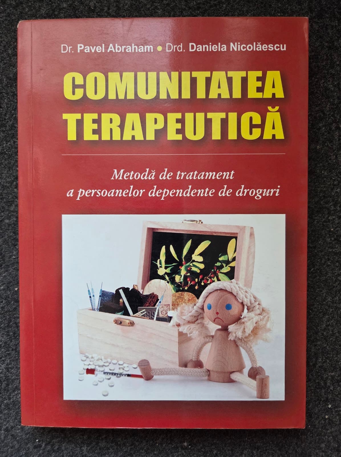 COMUNITATEA TERAPEUTICA