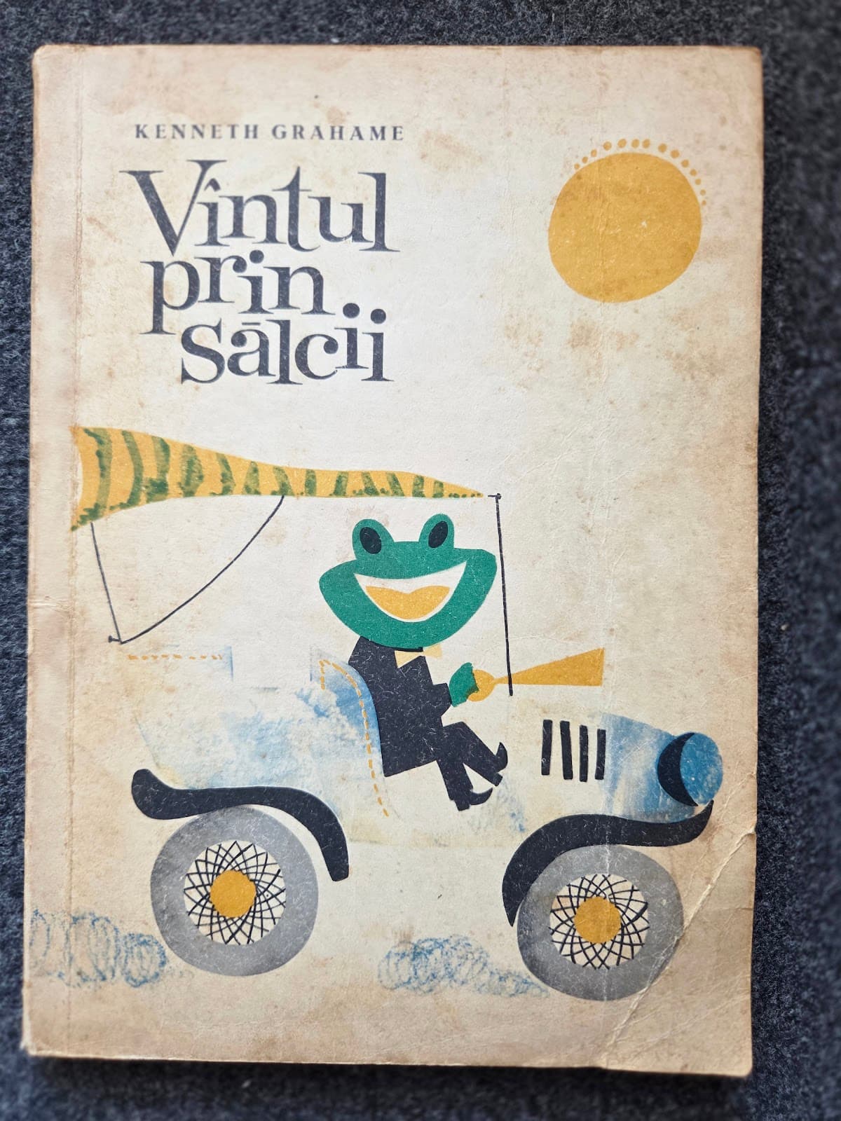 VANTUL PRIN SALCII