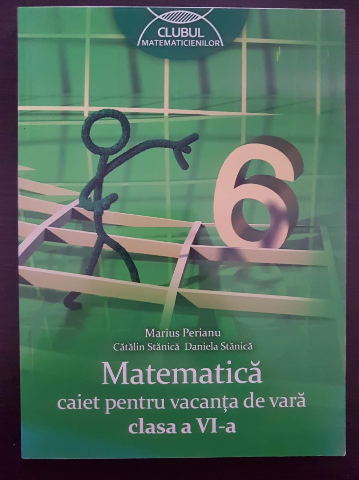MATEMATICA CAIET PENTRU VACANTA DE VARA CLASA A VI-A